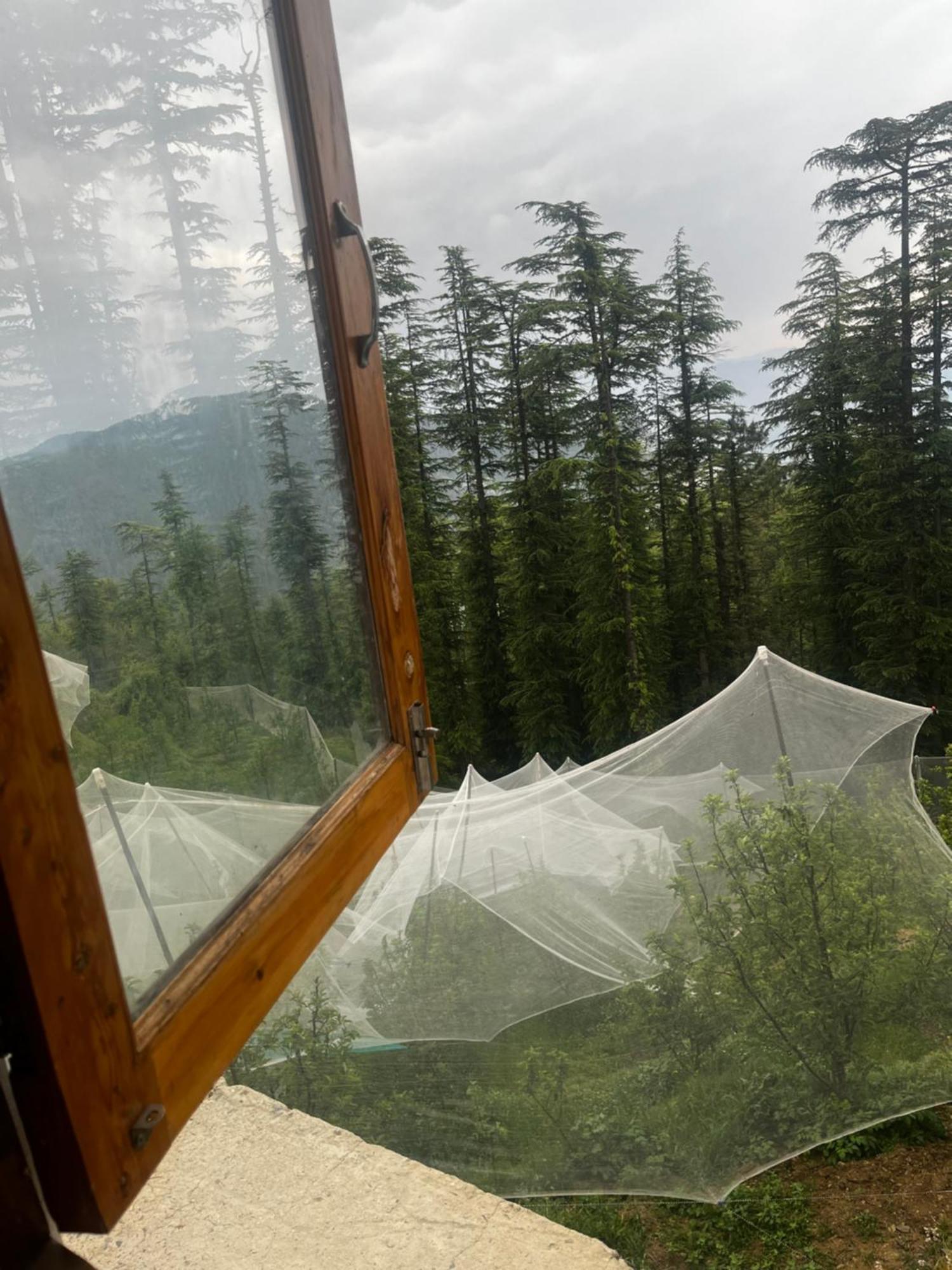 Norvin Homes Shimla Exterior foto